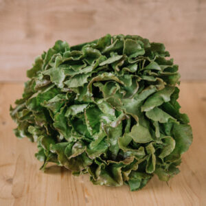 ENCIAM MERAVELLA - UNITAT